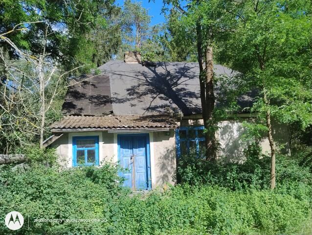 dom wolnostojący, 4 pokoje Szafranki. Zdjęcie 1