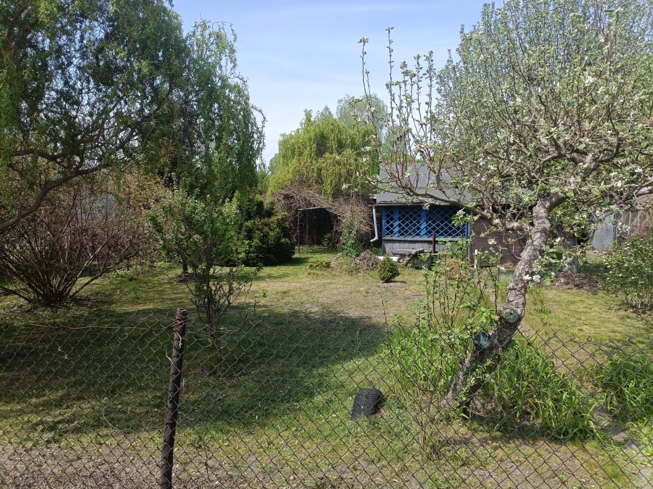 Działka rod Warszawa Paluch, ul. Ogrodników. Zdjęcie 4