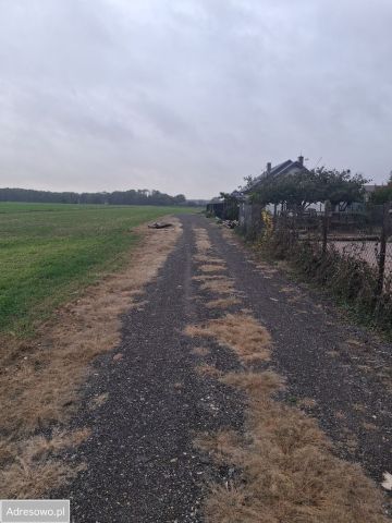 Działka budowlana Skarżyn, ul. Wyszogrodzka. Zdjęcie 1