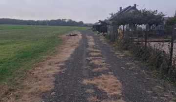 Działka budowlana Skarżyn, ul. Wyszogrodzka