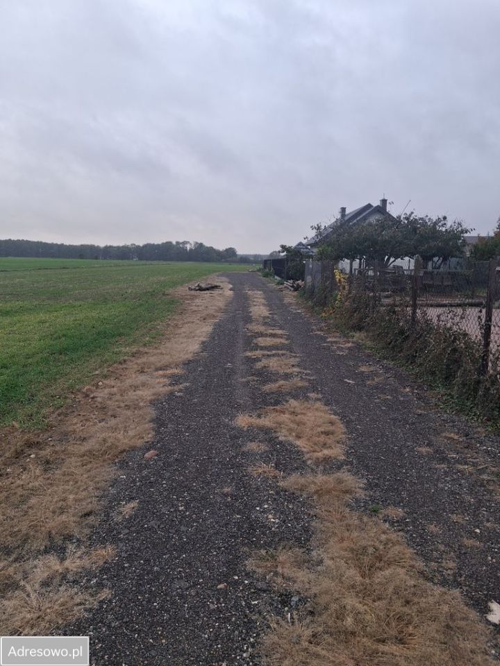 Działka budowlana Skarżyn, ul. Wyszogrodzka