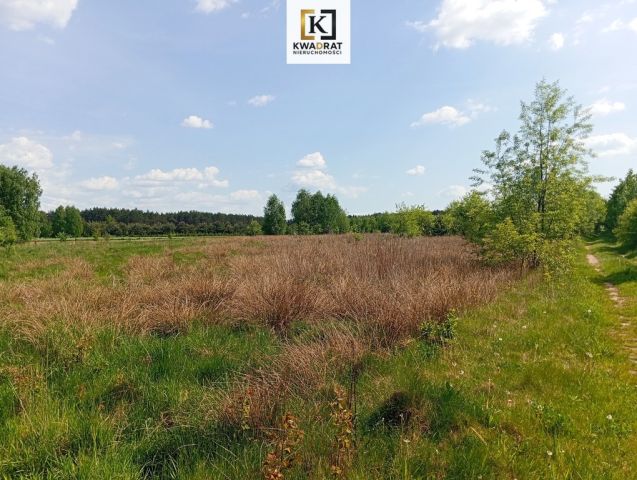 Działka rolno-budowlana Wólka Piecząca. Zdjęcie 7