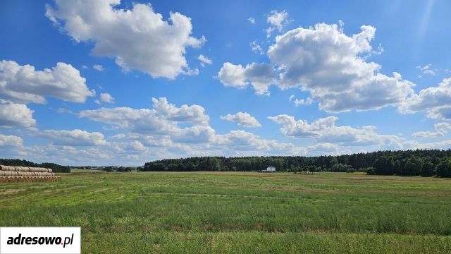 Działka budowlana Zielątkowo, ul. Leśna. Zdjęcie 1