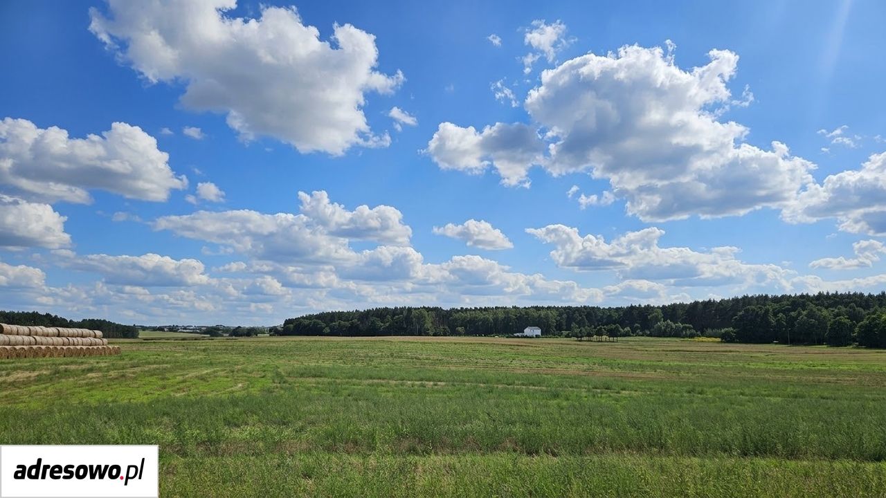 Działka budowlana Zielątkowo, ul. Leśna. Zdjęcie 1