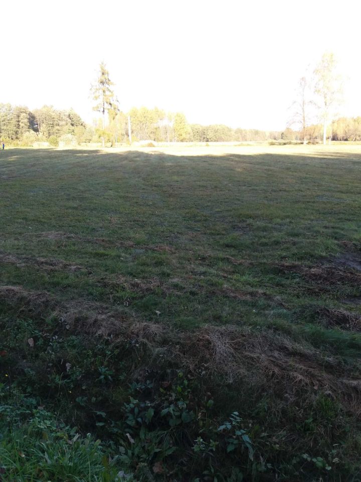 Działka budowlana Rogale. Zdjęcie 3