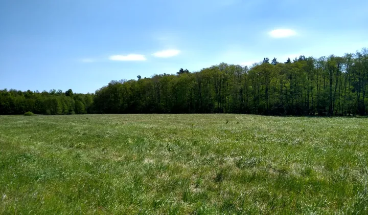 Działka siedliskowa Bożepole Wielkie