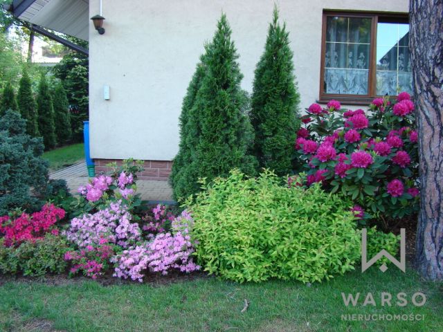 dom wolnostojący, 7 pokoi Józefów, ul. Sienkiewicza. Zdjęcie 4