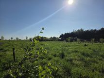 Działka budowlana Dryżyna. Zdjęcie 3