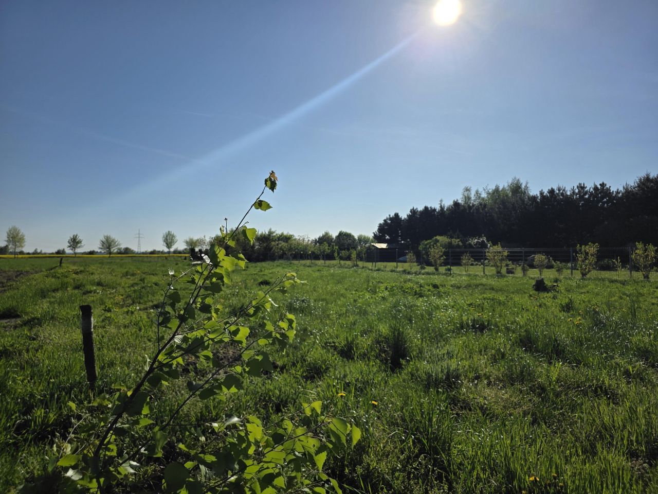 Działka budowlana Dryżyna. Zdjęcie 4