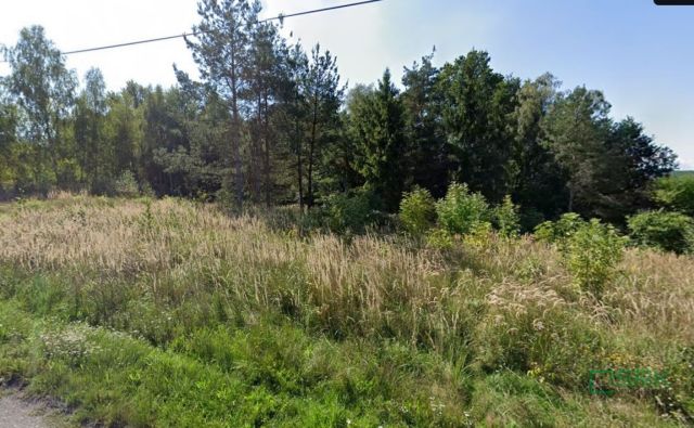 Działka Jankowice, ul. Podkościele. Zdjęcie 3