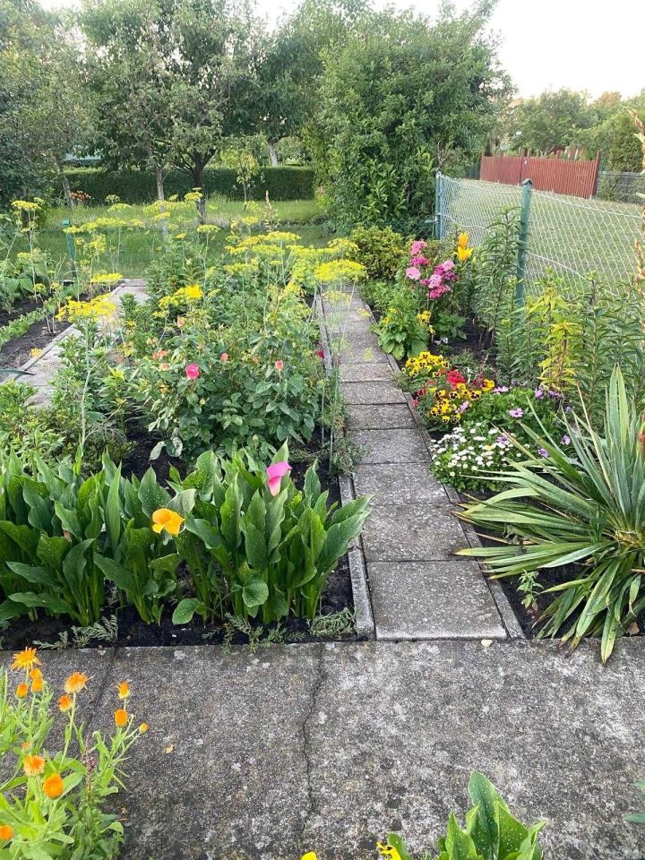 Działka rod Piła. Zdjęcie 2