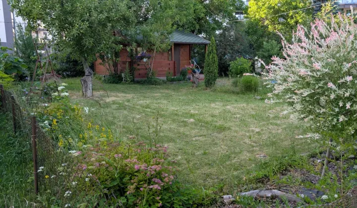 Działka rod Łódź Śródmieście, ul. Pomorska