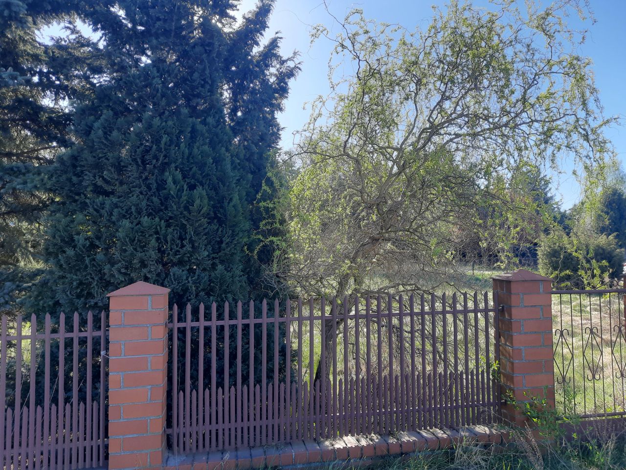 Działka budowlana Chociszew, Chociszew. Zdjęcie 8