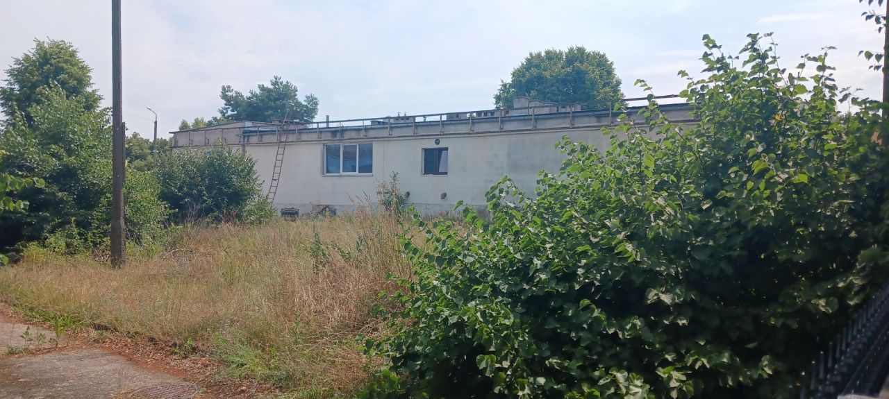 Nieruchomość komercyjna Rzepin, ul. Elizy Orzeszkowej. Zdjęcie 5