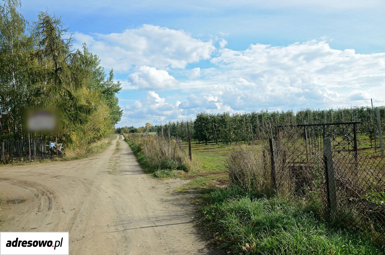 Działka budowlana Izbica, ul. Zachodnia. Zdjęcie 8