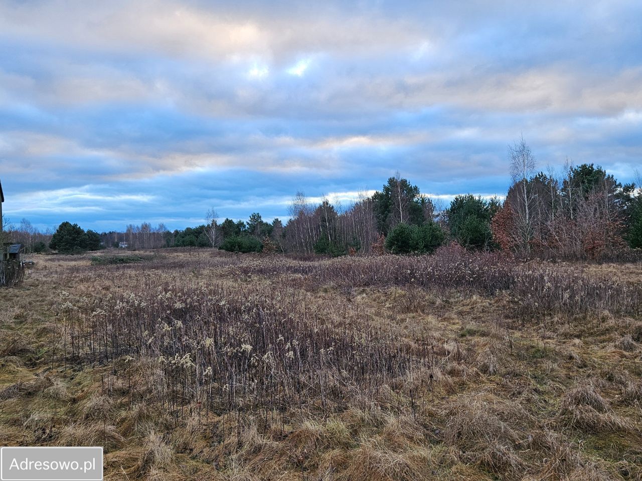 Działka budowlana Izabelin-Dziekanówek. Zdjęcie 7