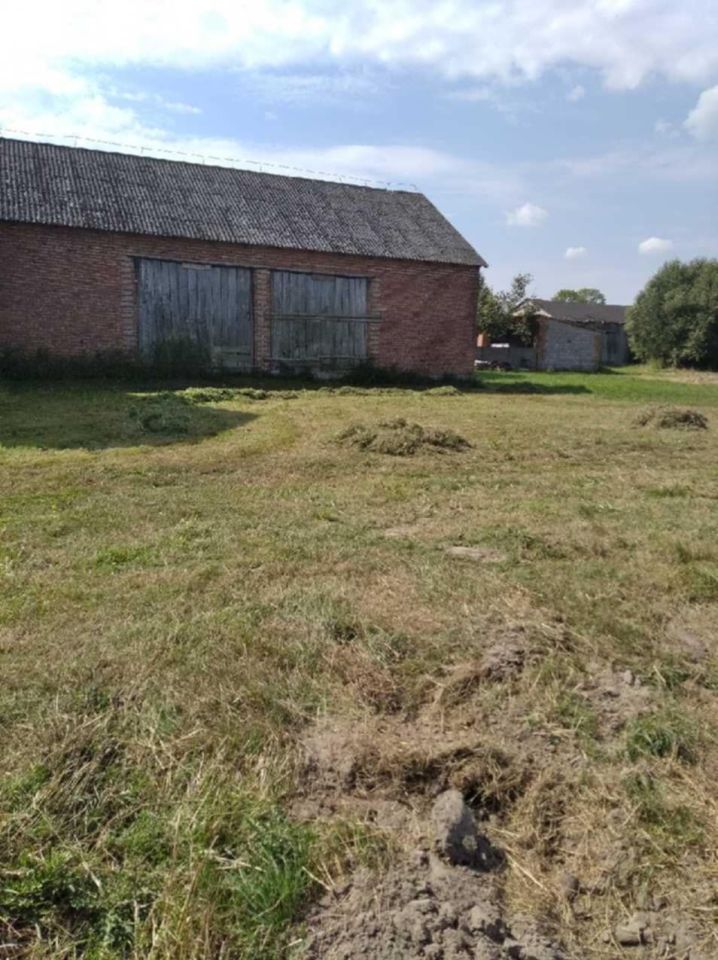 Działka rolno-budowlana Dąbrowa. Zdjęcie 3