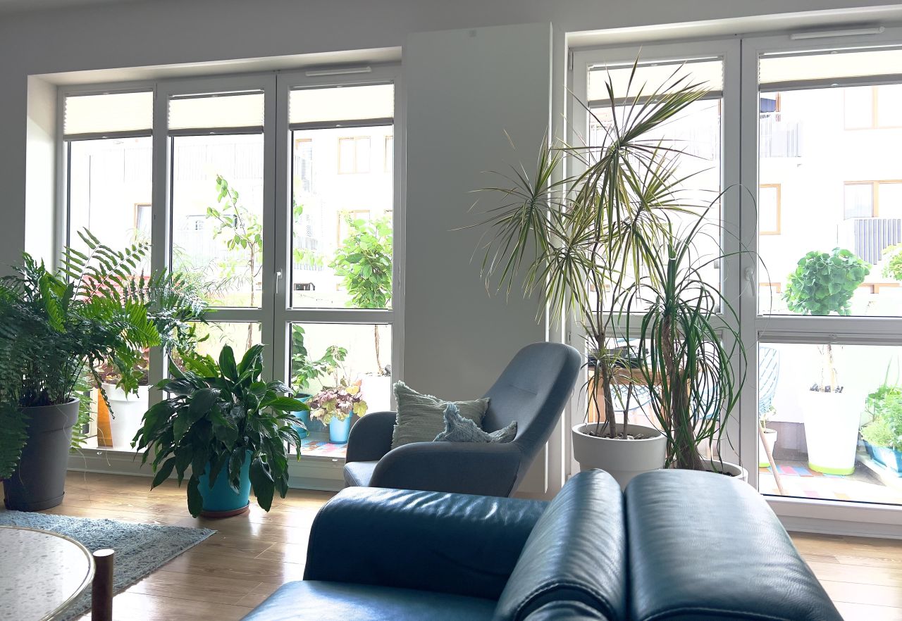 Mieszkanie 3-pokojowe Ząbki, ul. Powstańców. Zdjęcie 13