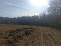 Działka budowlana Smardzewice, ul. Ogrodowa. Zdjęcie 2