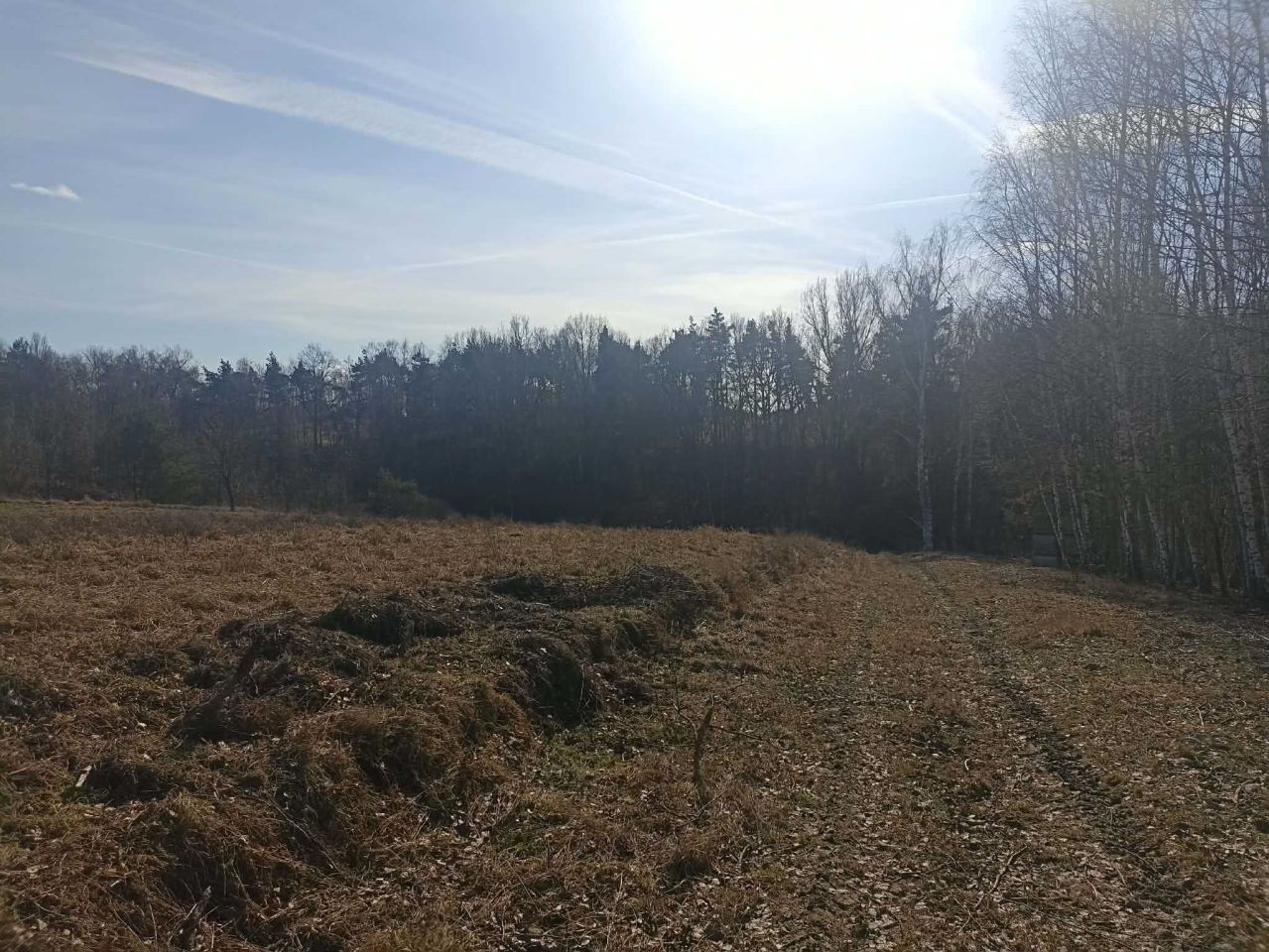 Działka budowlana Smardzewice, ul. Ogrodowa. Zdjęcie 3