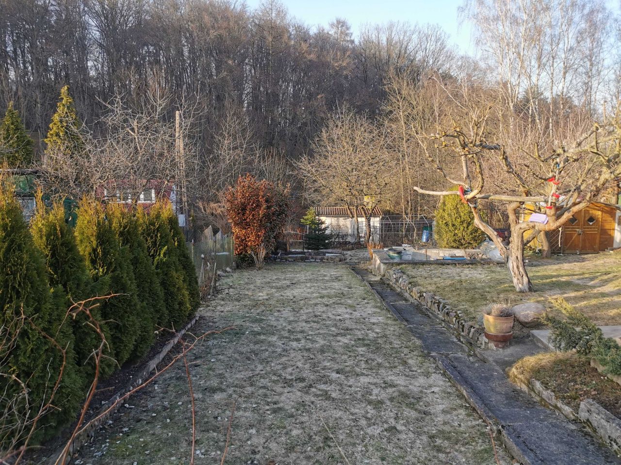 Działka rod Gdańsk Morena, ul. Wołkowyska. Zdjęcie 8