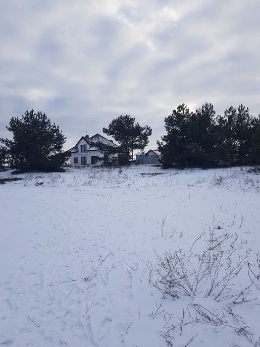 Działka budowlana Paterek, ul. Leśna. Zdjęcie 7