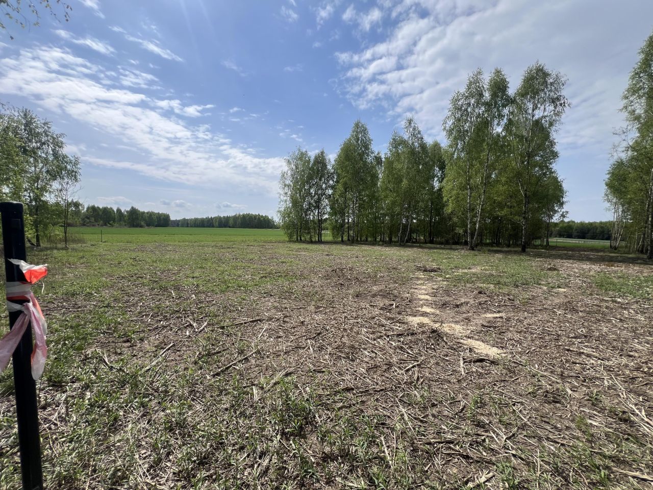 Działka budowlana Mlęcin. Zdjęcie 2