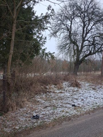 Działka rolna Stanisławów. Zdjęcie 12