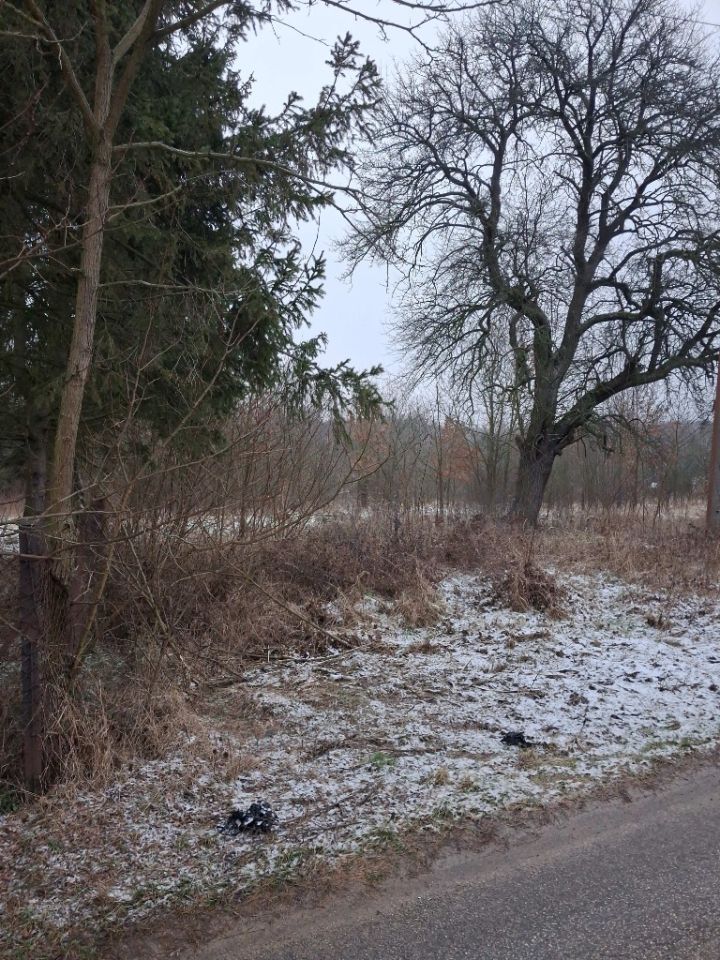 Działka rolna Stanisławów. Zdjęcie 12