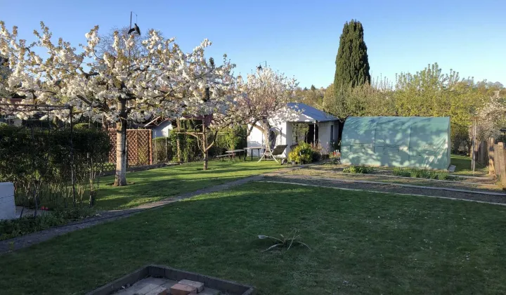 Działka rod Szczecin Bukowe, ul. Bogumińska