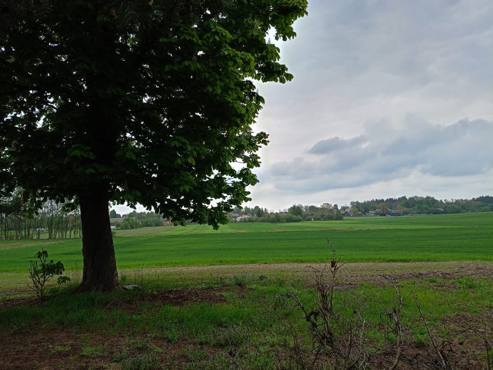 dom wolnostojący, 2 pokoje Trzciniec. Zdjęcie 5