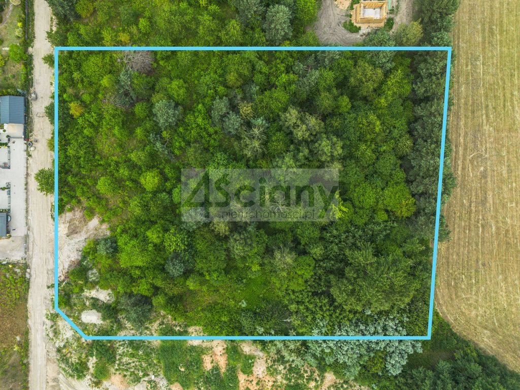 Działka budowlana Szczęsne. Zdjęcie 2