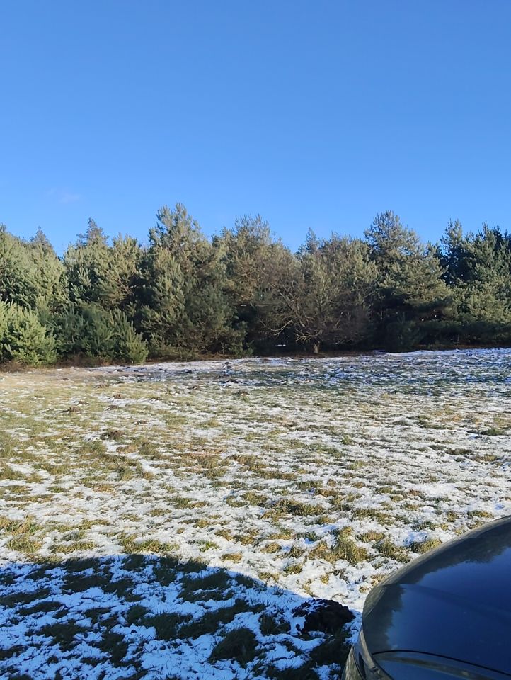 Działka budowlana Borów Nowy Borów. Zdjęcie 3