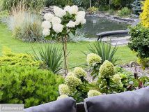 dom wolnostojący, 4 pokoje Skrzynki. Zdjęcie 2