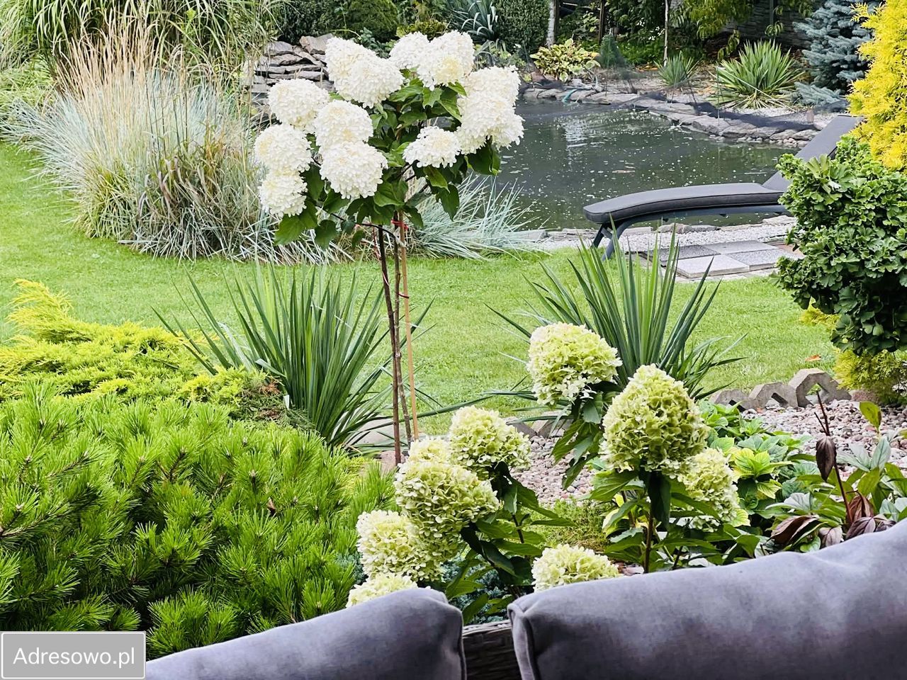 dom wolnostojący, 4 pokoje Skrzynki. Zdjęcie 3