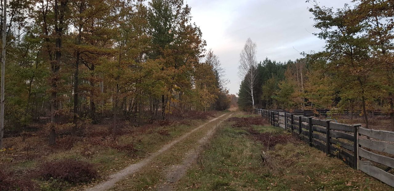 Działka budowlana Siedlów. Zdjęcie 3