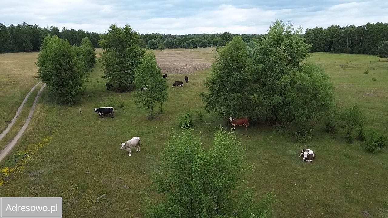 Działka Michałowo. Zdjęcie 14