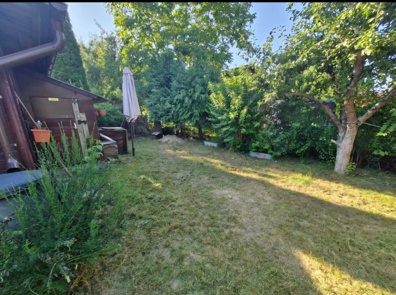 Działka rod Białystok Jaroszówka, Gwiazdkowa 2. Zdjęcie 2