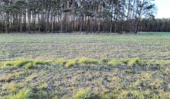 Działka budowlana Zborowskie