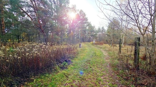 Działka budowlana Łomianki. Zdjęcie 1