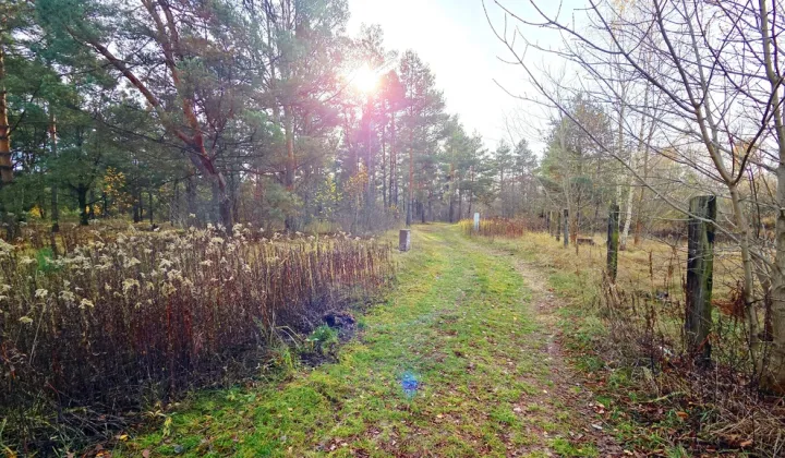 Działka budowlana Łomianki