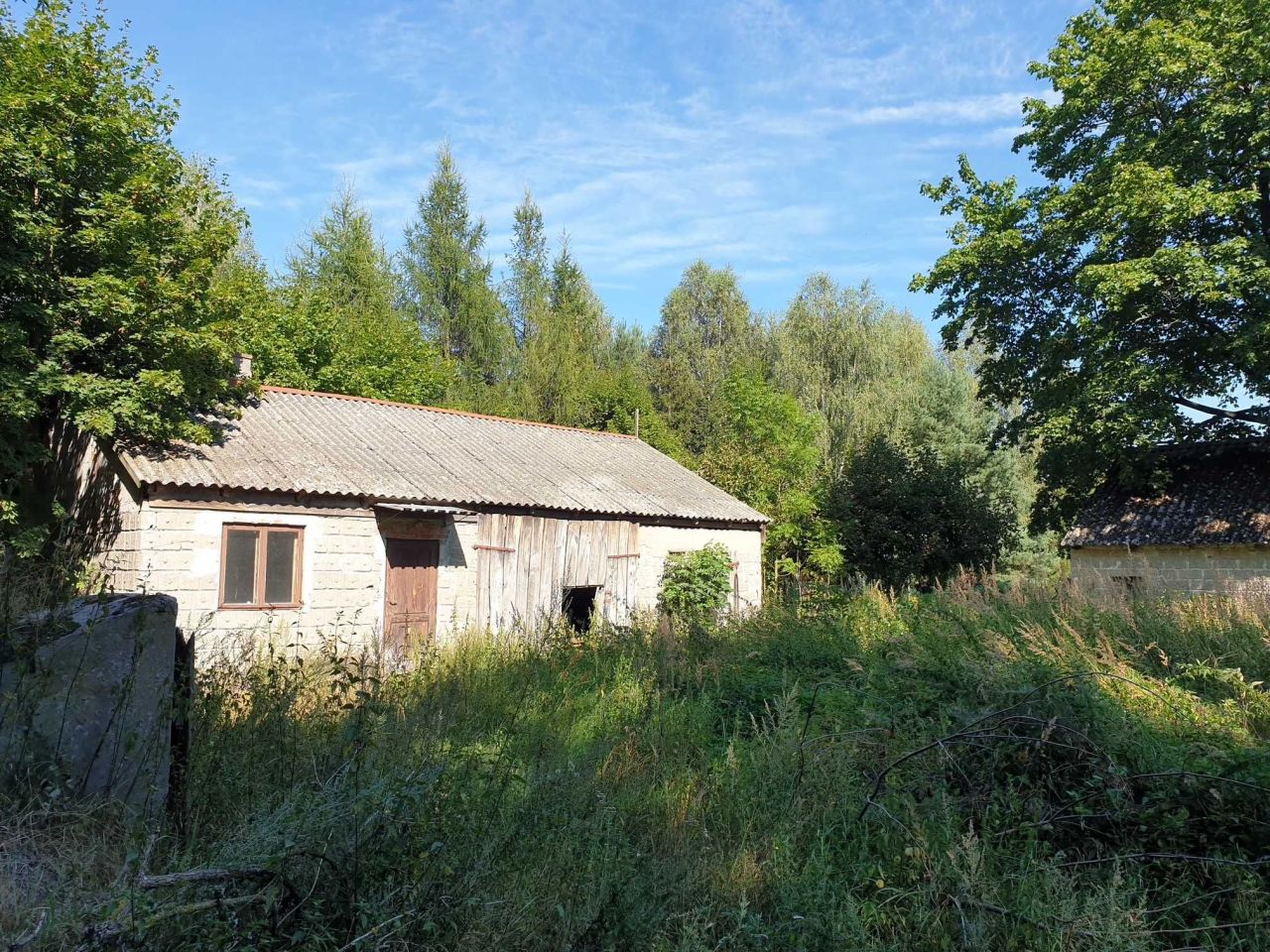 Działka siedliskowa Matyldów. Zdjęcie 6