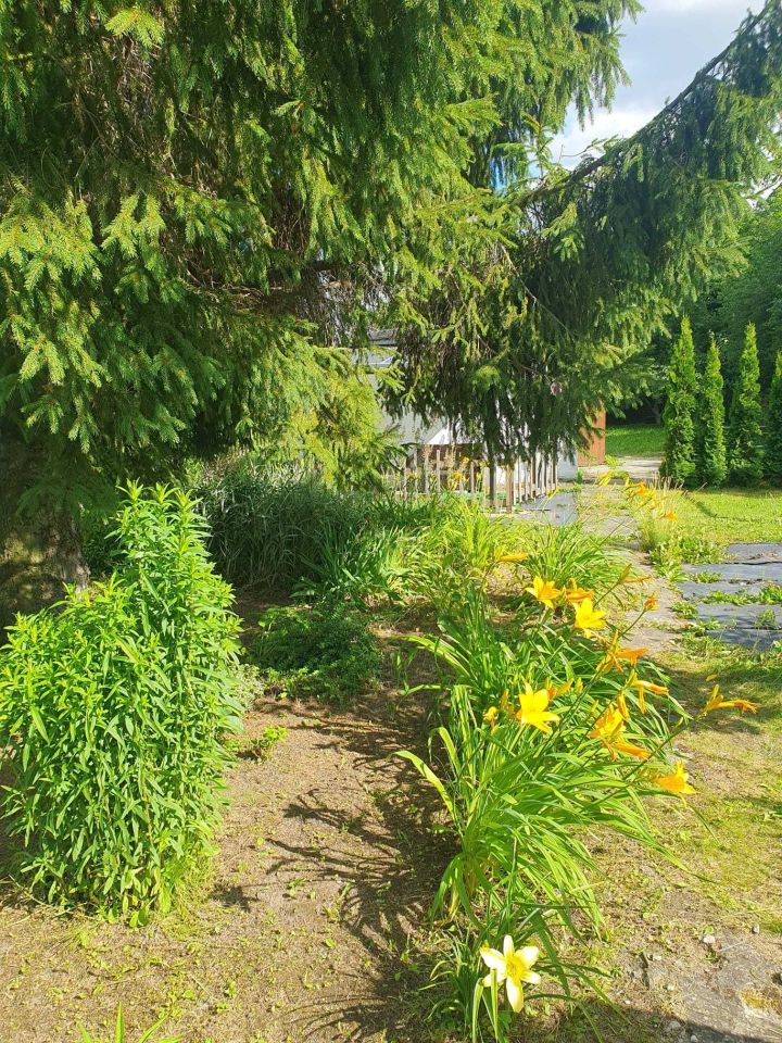 Działka rod Gdańsk Olszynka, ul. Olszyńska. Zdjęcie 8