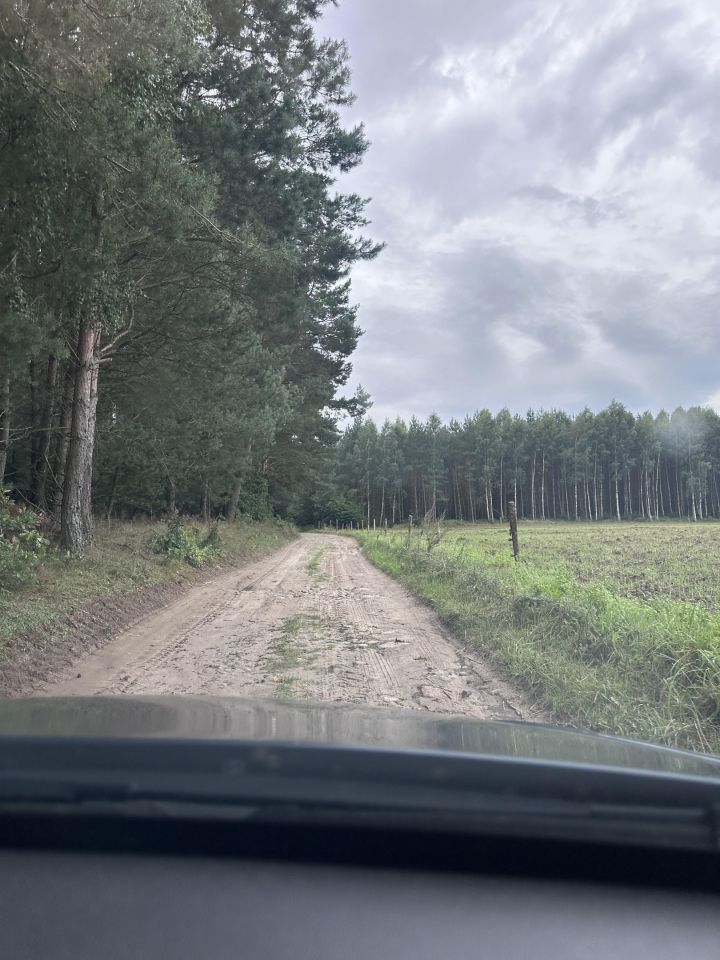 Działka leśna Łętowo. Zdjęcie 6