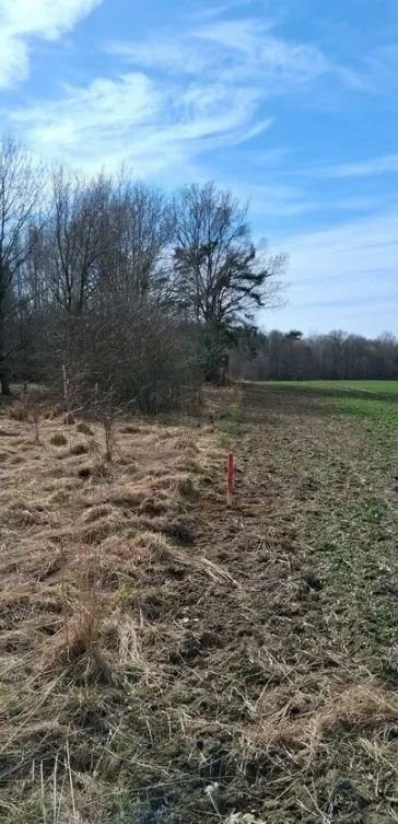 Działka inwestycyjna Charnowo. Zdjęcie 13