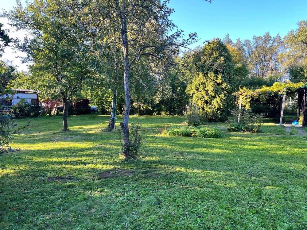 Działka rod Osiek. Zdjęcie 2