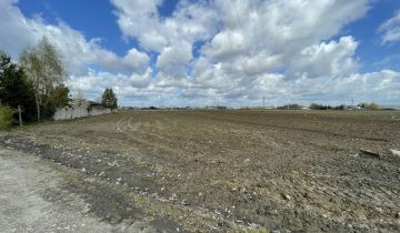 Działka rolna Domaniewek Pierwszy, ul. Południowa