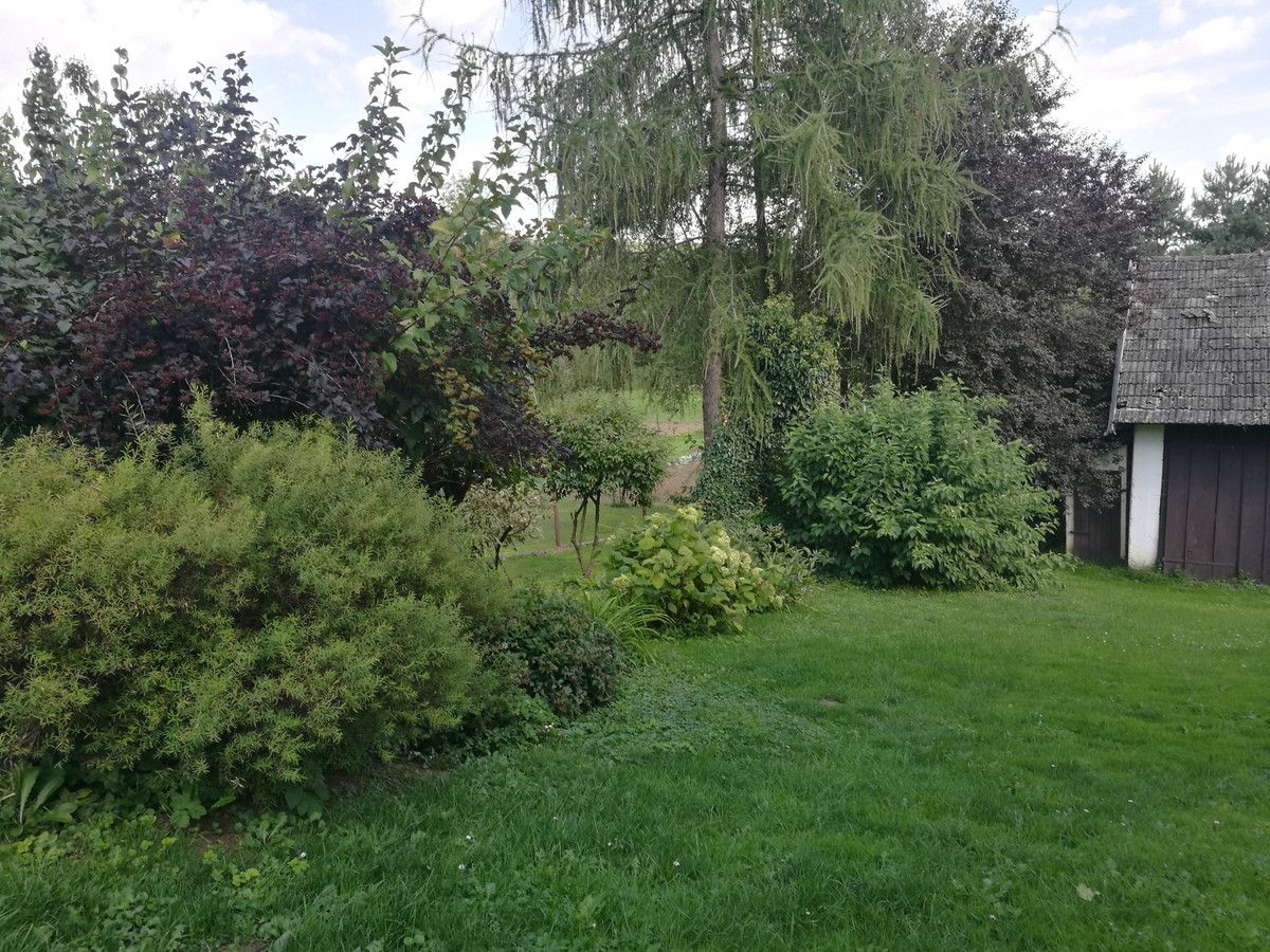 Działka budowlana Lipinki. Zdjęcie 7