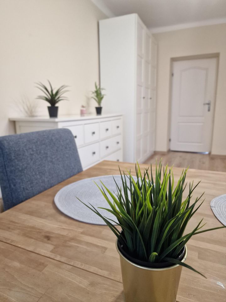 Mieszkanie 2-pokojowe Warszawa Śródmieście, ul. Nowolipki. Zdjęcie 3