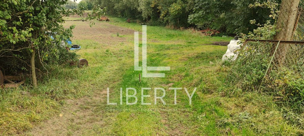 Działka rolna Barnisław. Zdjęcie 5